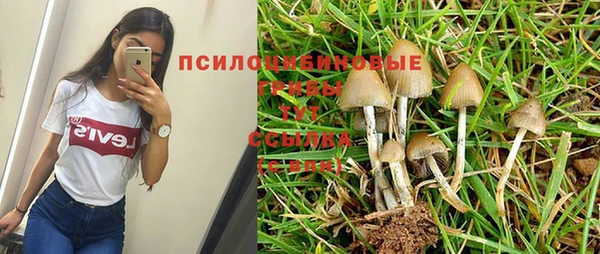 дживик Куйбышев