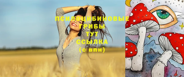 скорость Ладушкин